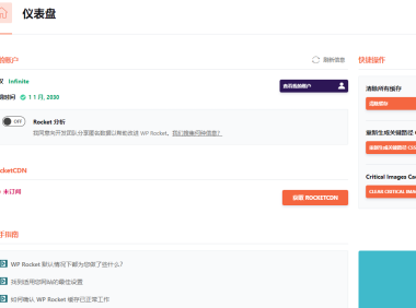 WP Rocket 优化、网站变慢了怎么办?